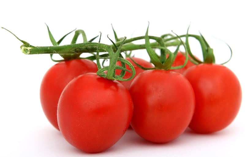 Food Presentation
